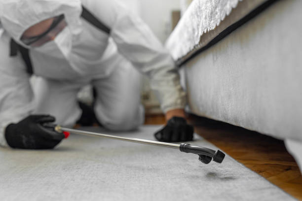 Professional Bed Bug Control technician working in Webster Parish County, LA